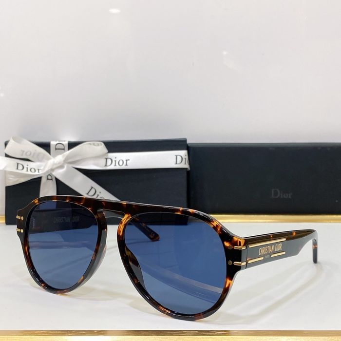 Dior Sunglasses Top Quality DIS00229
