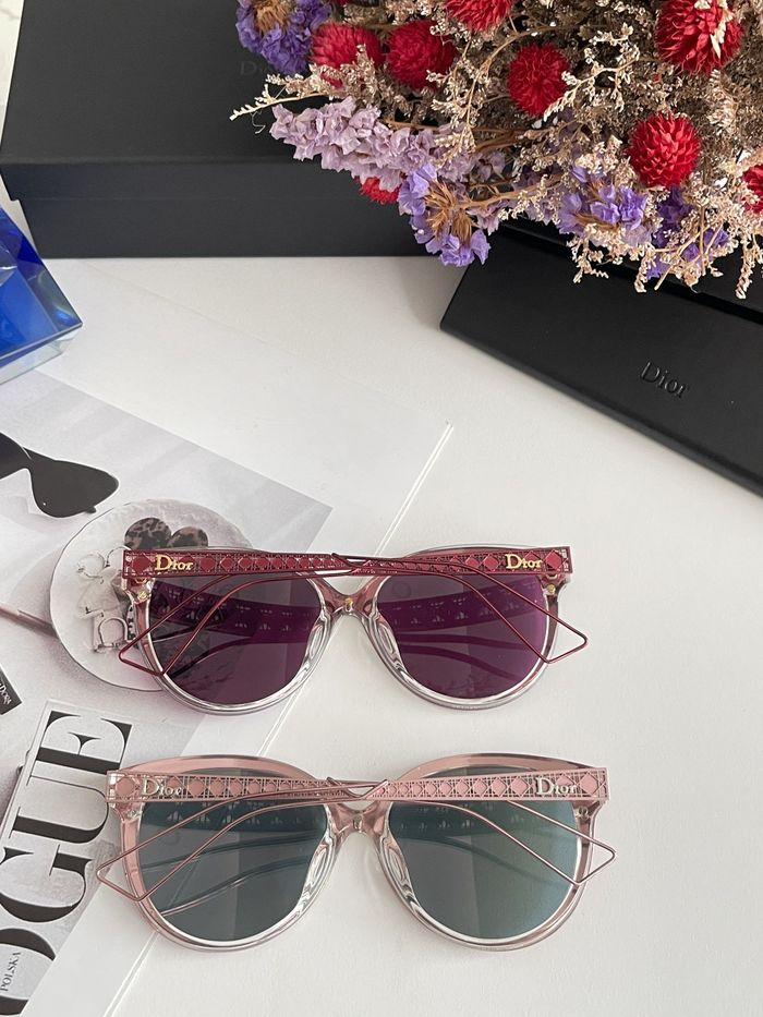 Dior Sunglasses Top Quality DIS00232