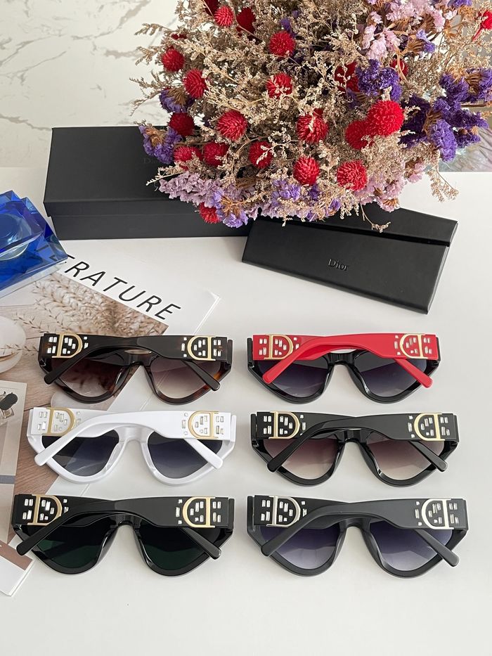 Dior Sunglasses Top Quality DIS00234
