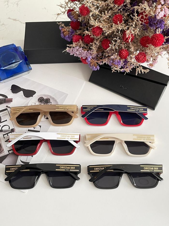 Dior Sunglasses Top Quality DIS00235