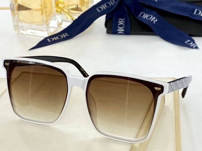 Dior Sunglasses Top Quality DIS00239