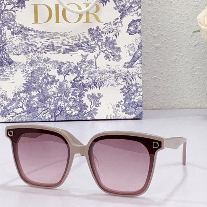 Dior Sunglasses Top Quality DIS00273