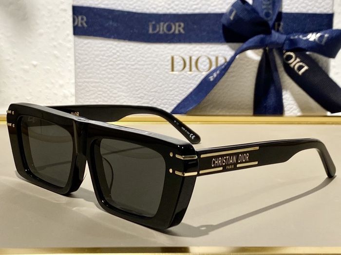 Dior Sunglasses Top Quality DIS00299