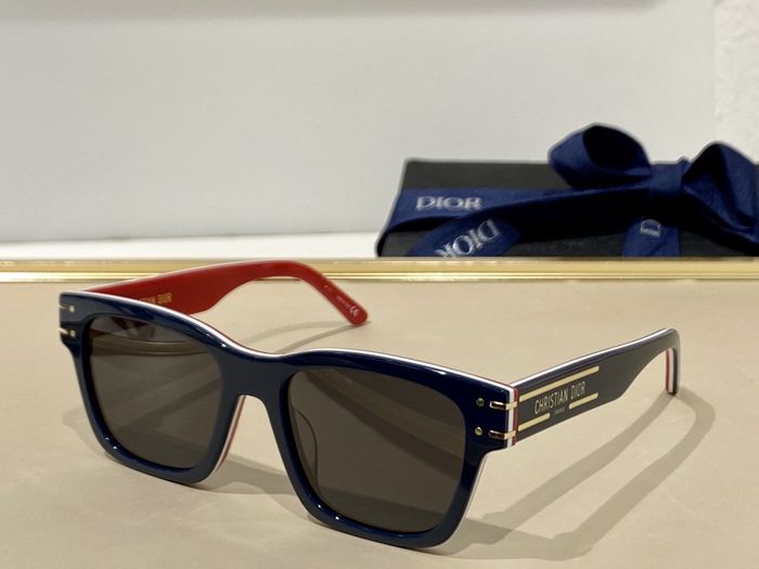 Dior Sunglasses Top Quality DIS00300
