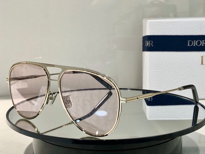 Dior Sunglasses Top Quality DIS00303