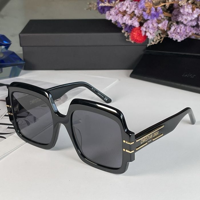 Dior Sunglasses Top Quality DIS00333