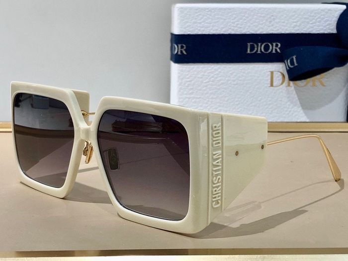 Dior Sunglasses Top Quality DIS00349