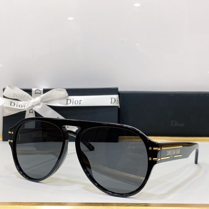 Dior Sunglasses Top Quality DIS00350