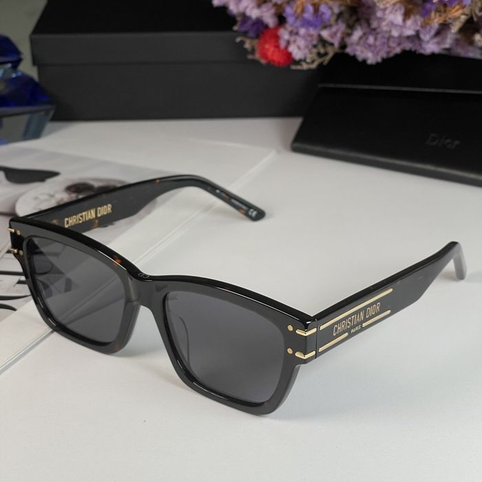 Dior Sunglasses Top Quality DIS00356