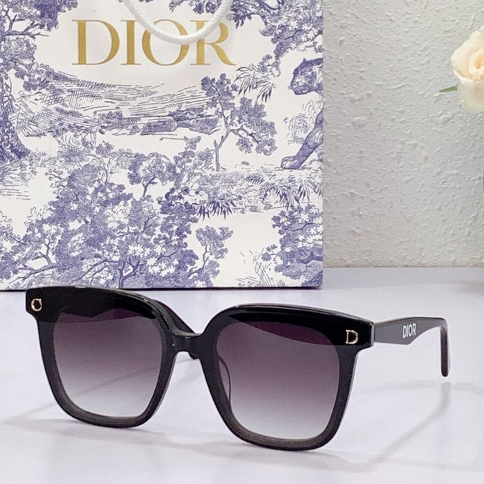Dior Sunglasses Top Quality DIS00394