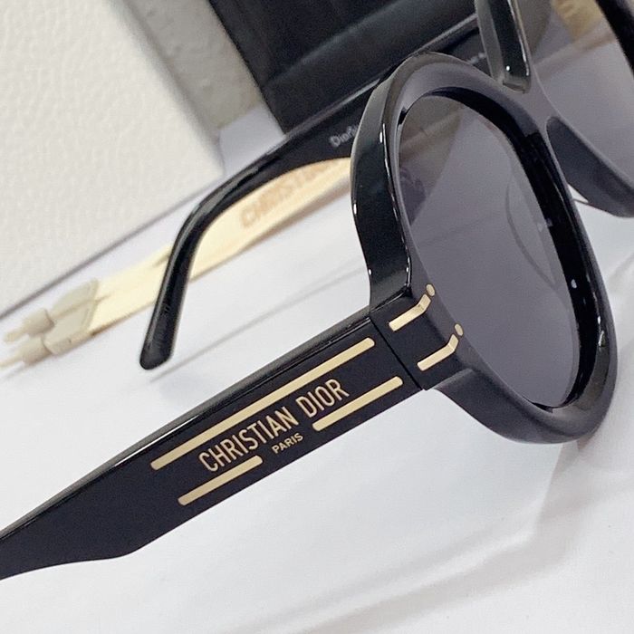 Dior Sunglasses Top Quality DIS00395