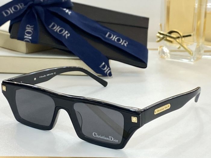 Dior Sunglasses Top Quality DIS00423