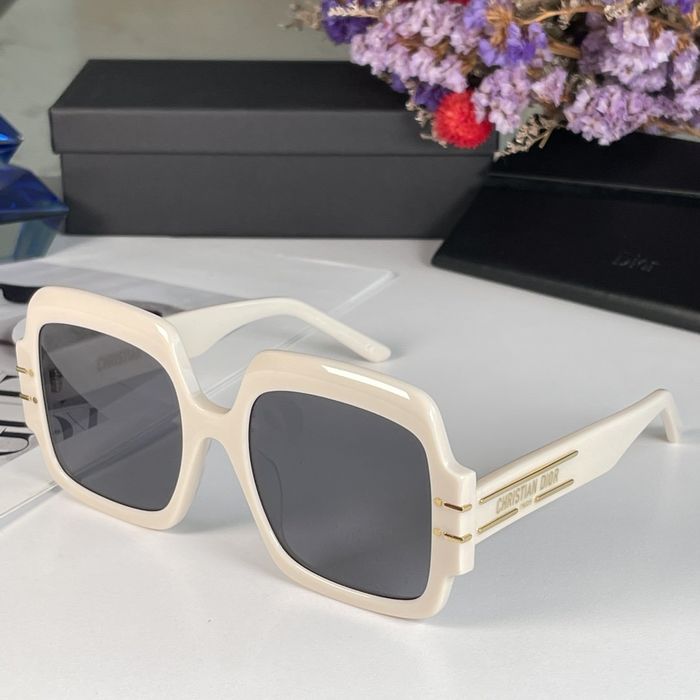 Dior Sunglasses Top Quality DIS00454