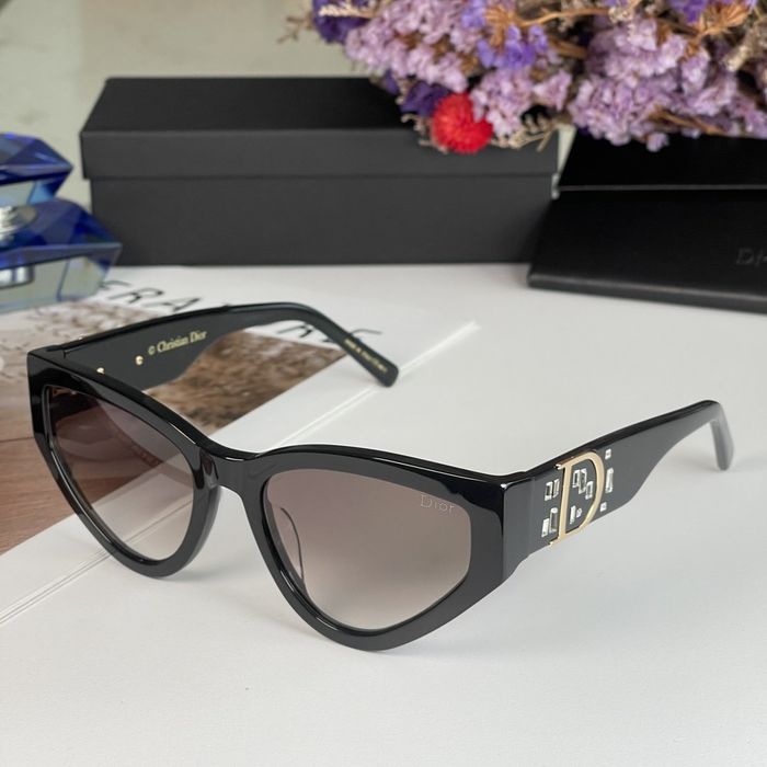 Dior Sunglasses Top Quality DIS00476