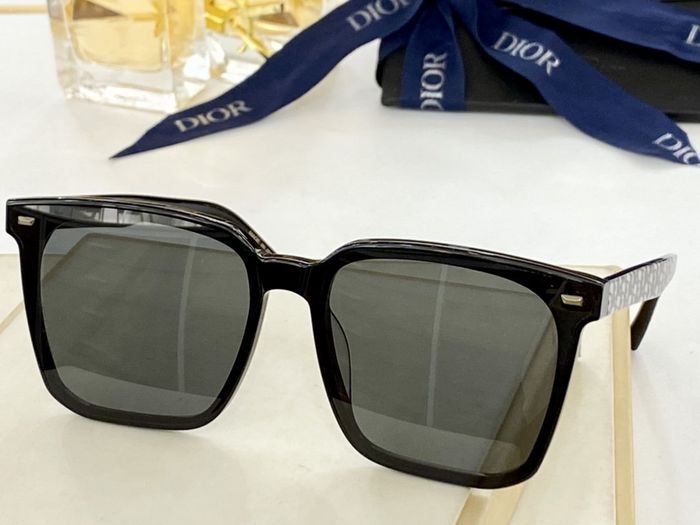 Dior Sunglasses Top Quality DIS00481