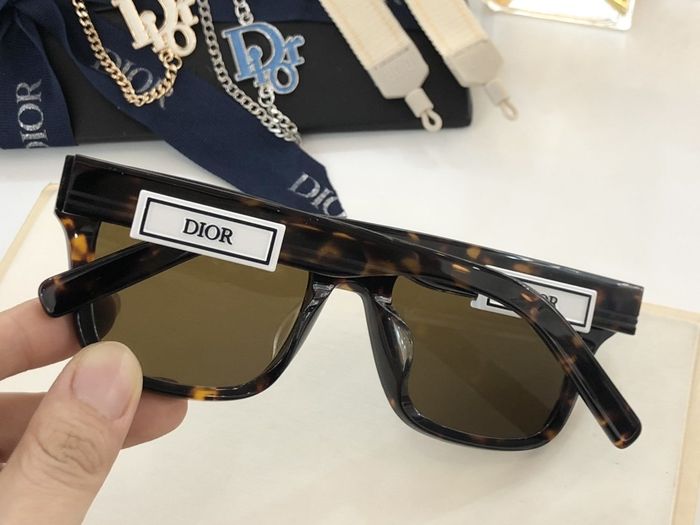 Dior Sunglasses Top Quality DIS00505