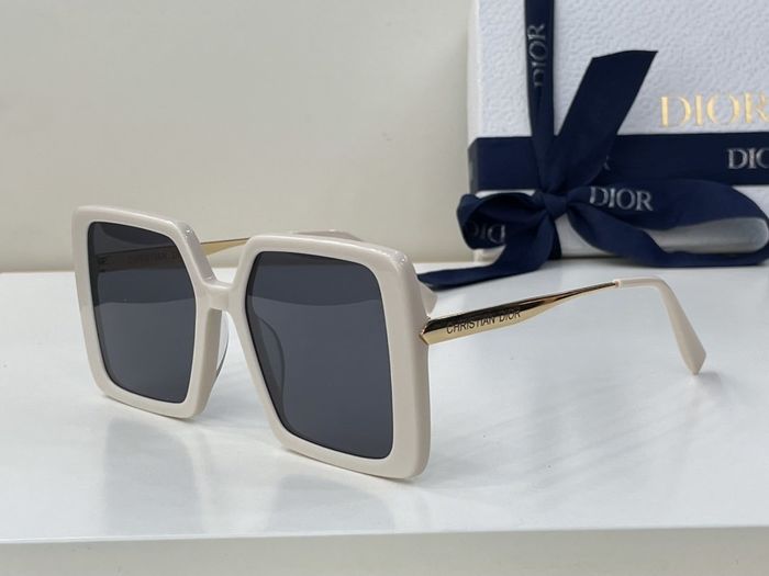 Dior Sunglasses Top Quality DIS00534