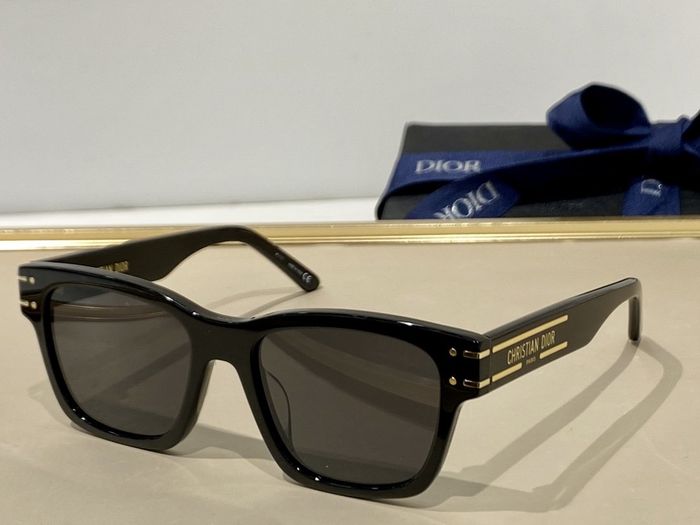 Dior Sunglasses Top Quality DIS00541