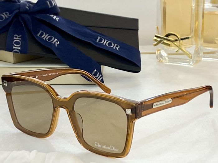 Dior Sunglasses Top Quality DIS00542