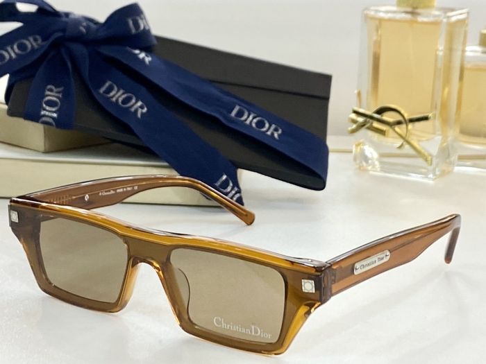 Dior Sunglasses Top Quality DIS00543