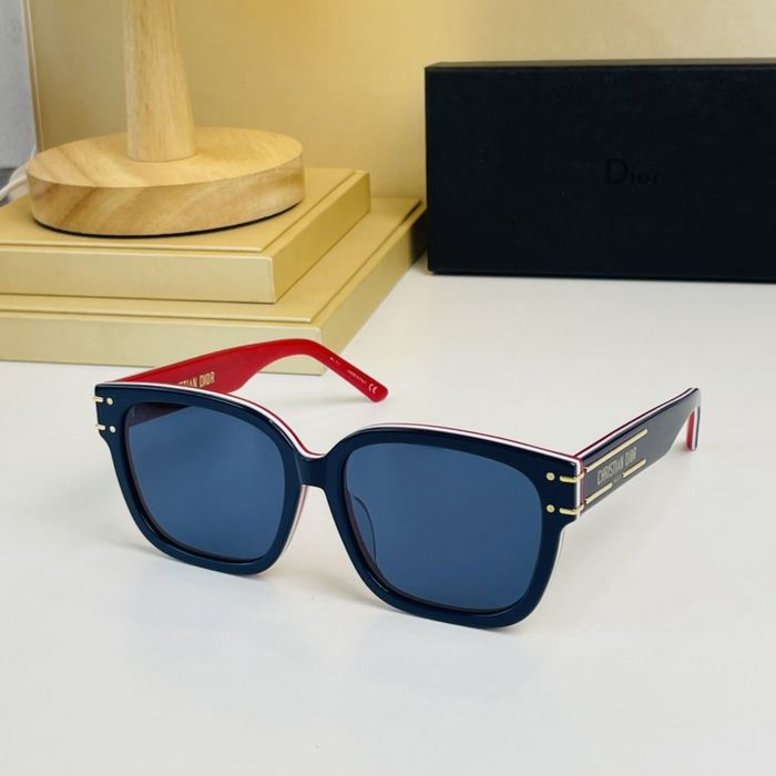 Dior Sunglasses Top Quality DIS00546