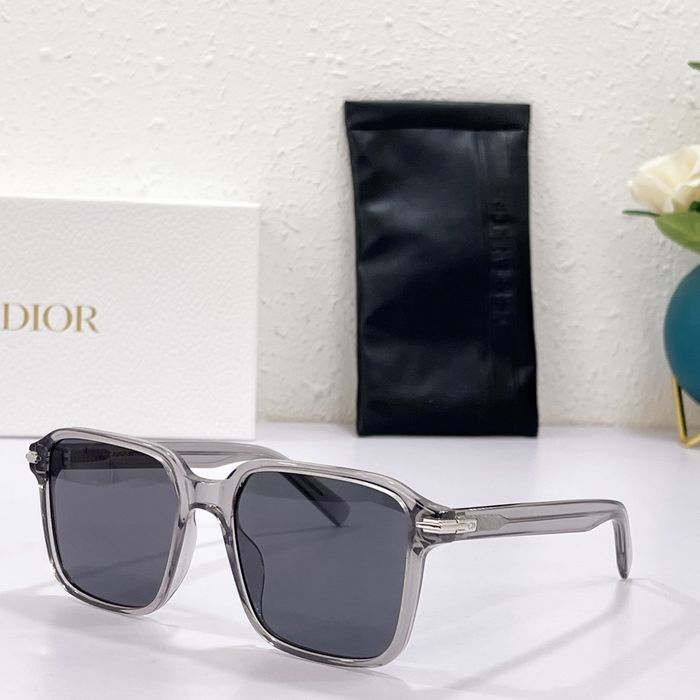 Dior Sunglasses Top Quality DIS00560