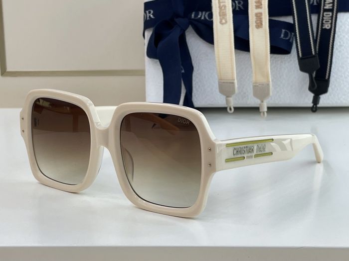 Dior Sunglasses Top Quality DIS00581