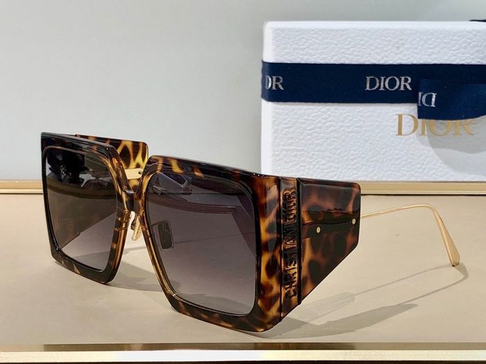 Dior Sunglasses Top Quality DIS00590