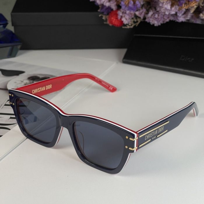 Dior Sunglasses Top Quality DIS00597