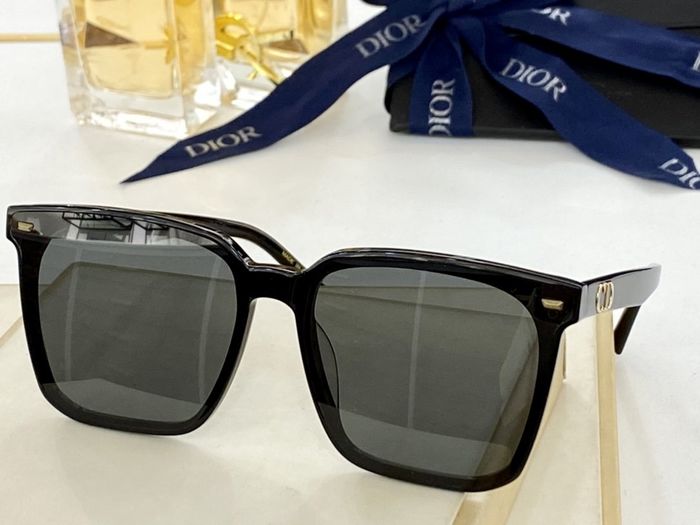 Dior Sunglasses Top Quality DIS00601
