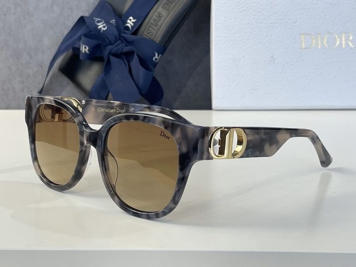 Dior Sunglasses Top Quality DIS00611