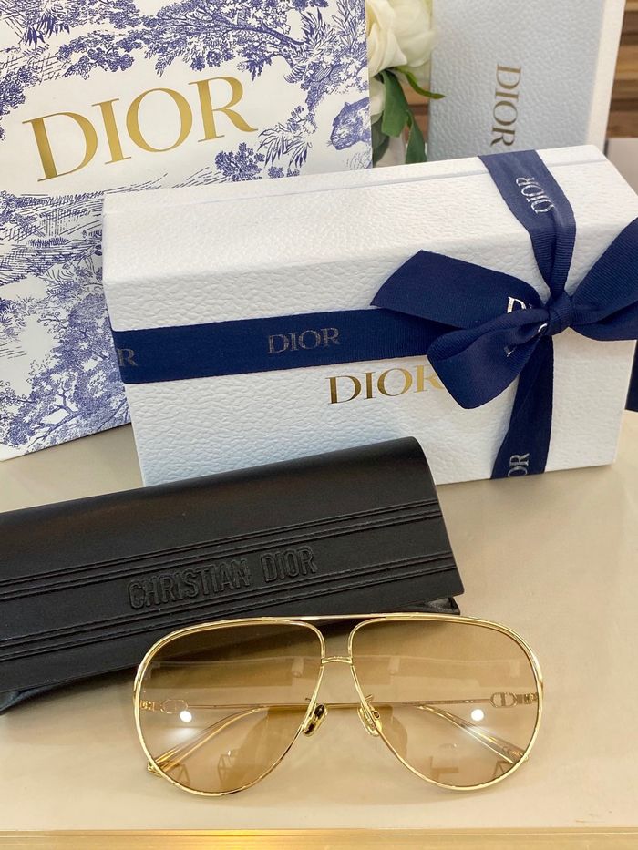 Dior Sunglasses Top Quality DIS00631