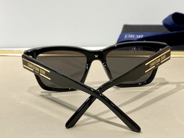 Dior Sunglasses Top Quality DIS00661