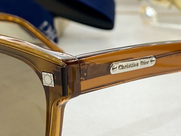 Dior Sunglasses Top Quality DIS00662