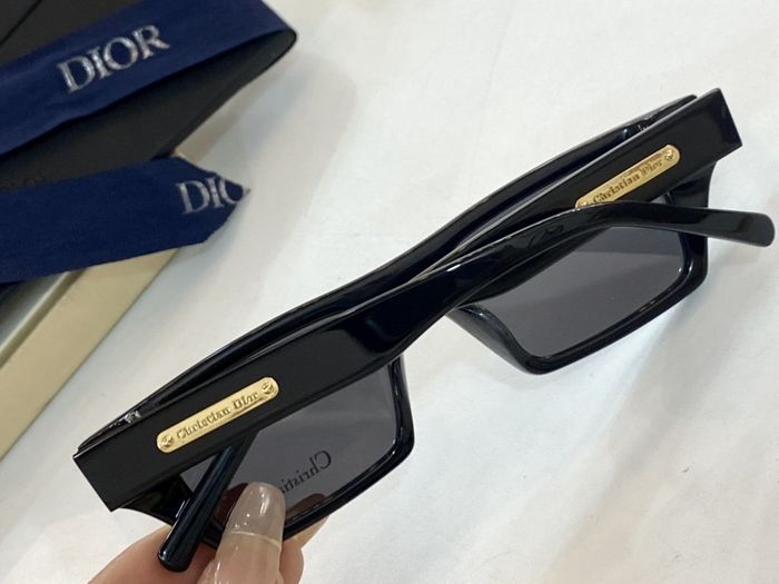 Dior Sunglasses Top Quality DIS00663