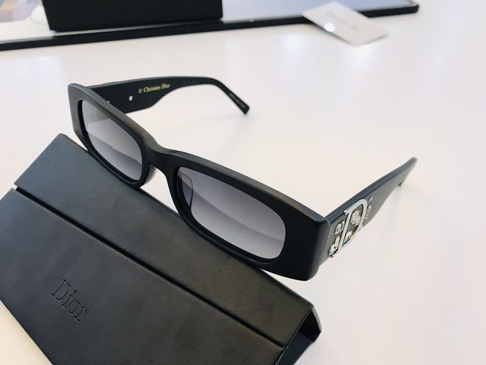 Dior Sunglasses Top Quality DIS00665