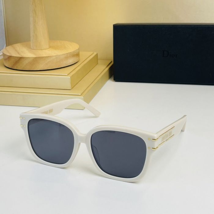 Dior Sunglasses Top Quality DIS00666