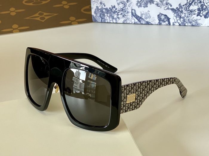 Dior Sunglasses Top Quality DIS00675
