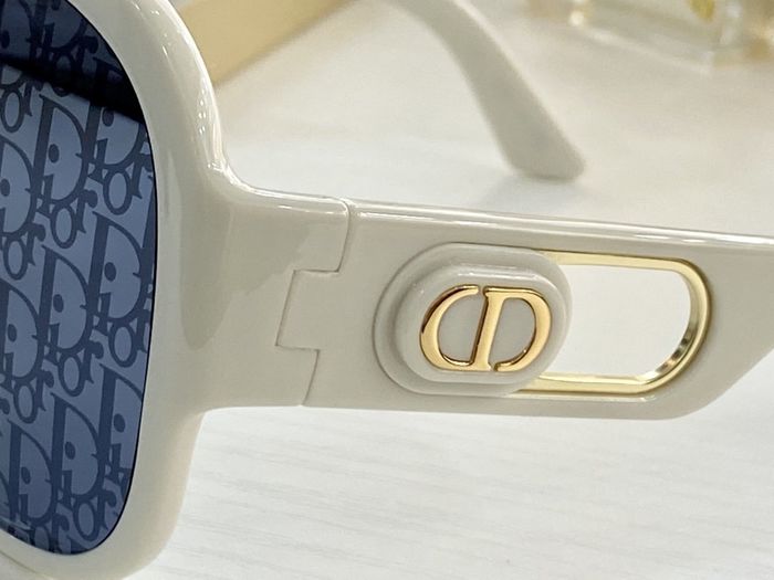 Dior Sunglasses Top Quality DIS00687