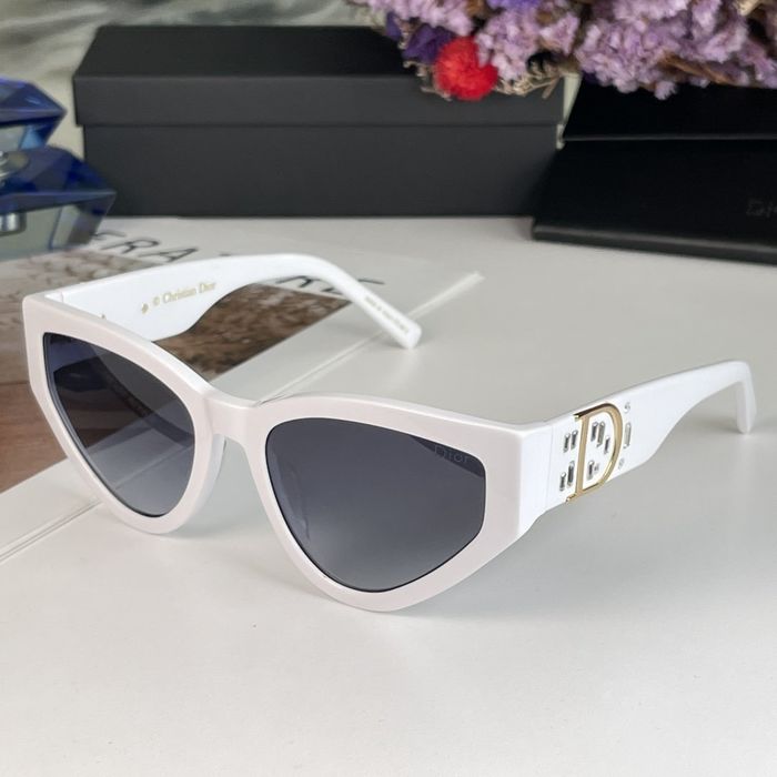 Dior Sunglasses Top Quality DIS00716