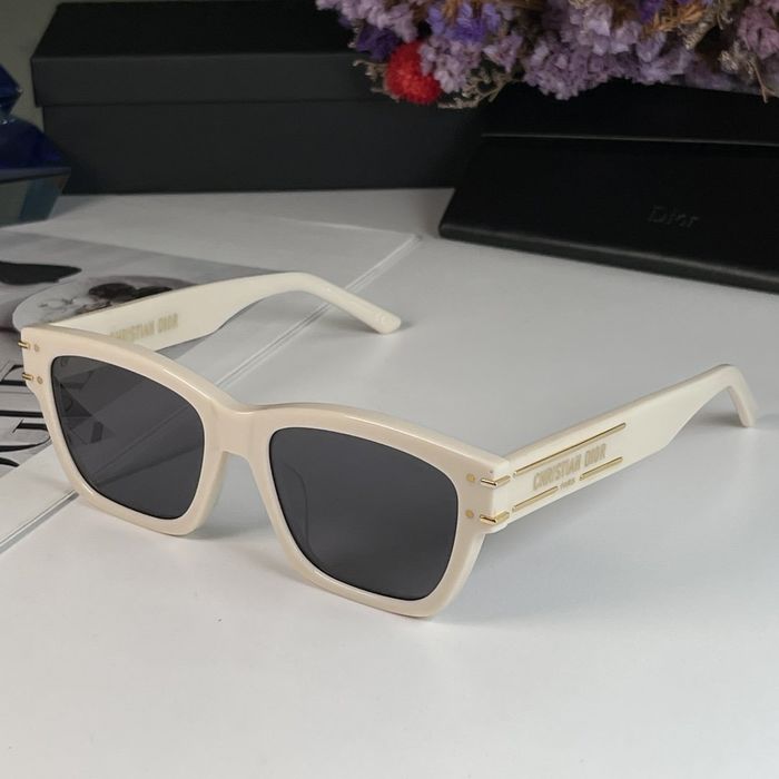 Dior Sunglasses Top Quality DIS00717