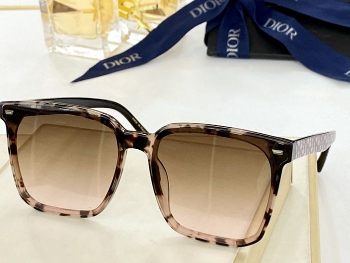 Dior Sunglasses Top Quality DIS00721