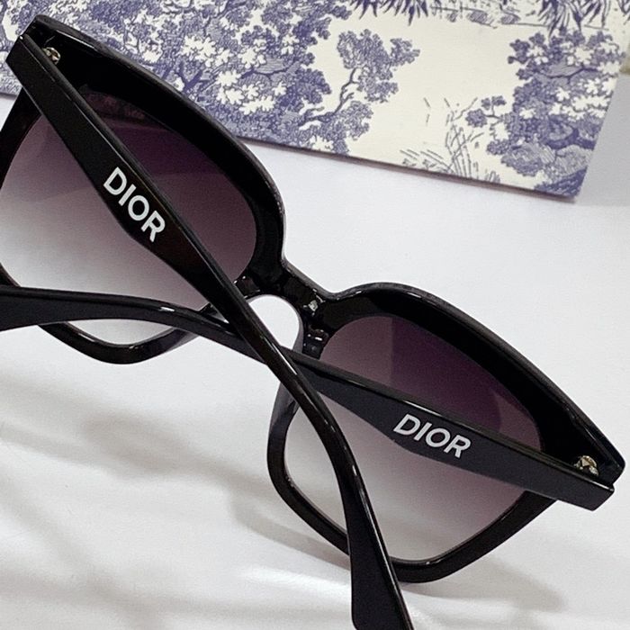 Dior Sunglasses Top Quality DIS00753