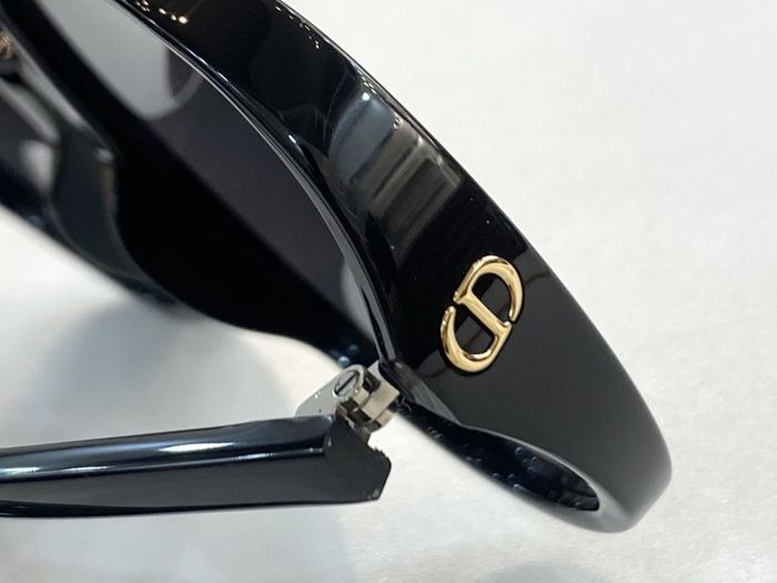 Dior Sunglasses Top Quality DIS00778