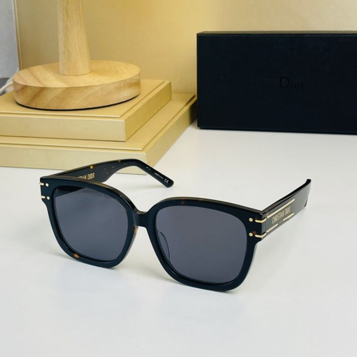 Dior Sunglasses Top Quality DIS00785