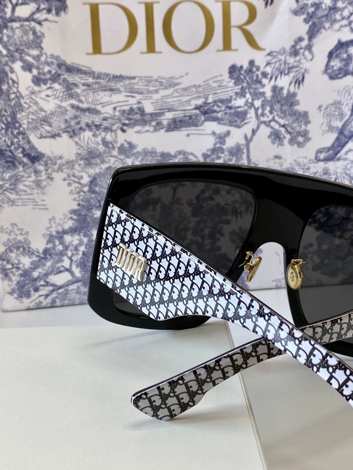 Dior Sunglasses Top Quality DIS00794