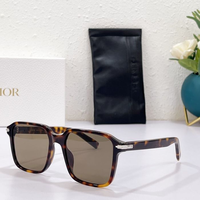 Dior Sunglasses Top Quality DIS00799