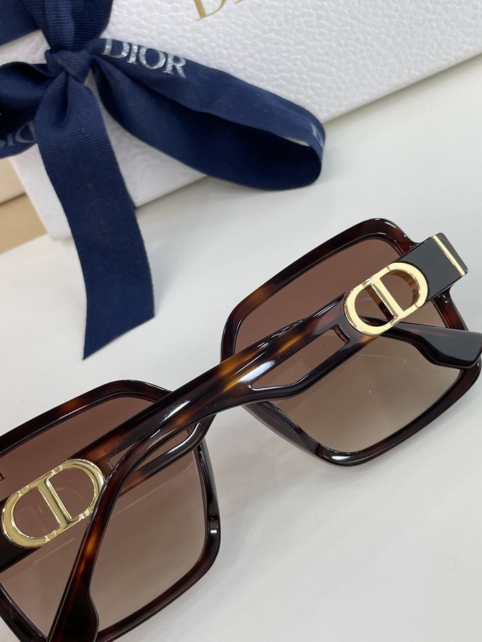 Dior Sunglasses Top Quality DIS00815