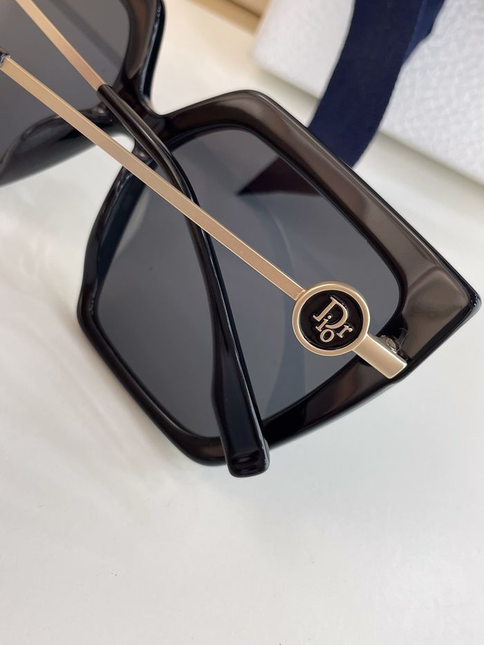 Dior Sunglasses Top Quality DIS00819