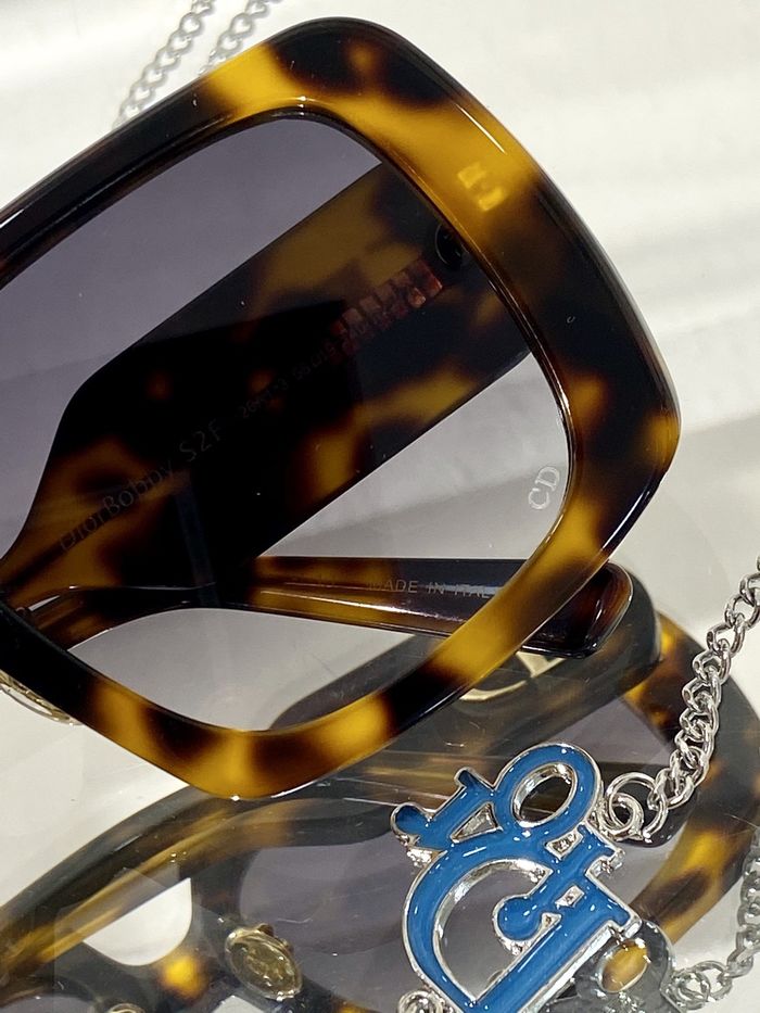 Dior Sunglasses Top Quality DIS00827
